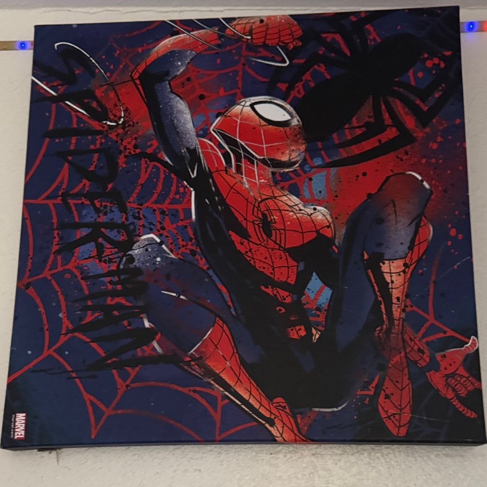 Marvel Spider-Man Wall Art